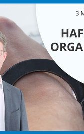 Haftungsfeste Organisationen