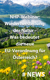 NHP Webinar am 11. September 2024 zur Renaturierungs-Verordnung